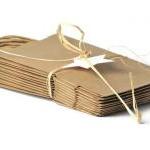 20 plain kraft paper shoppi..